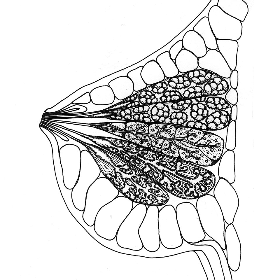 Dessin en noir et blanc d'un crane dans l'orbite duquel on aperçoit une silhouette qui semble s'évaporer