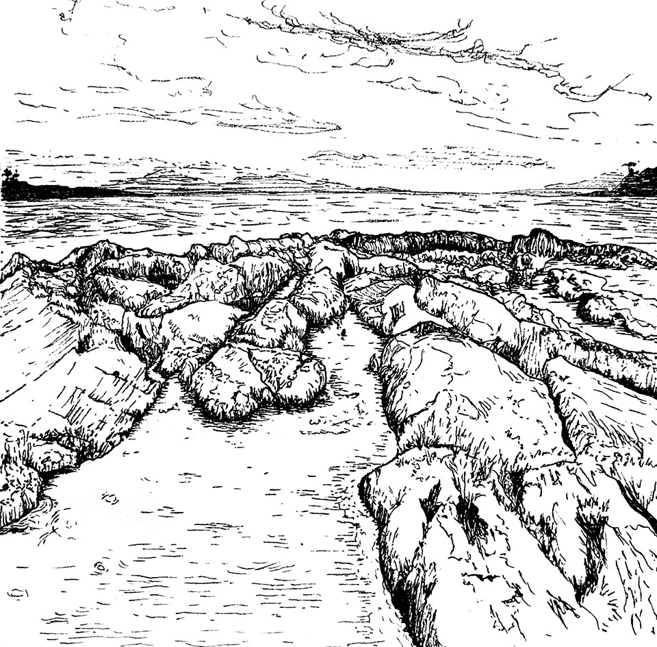 Illustration au trait fin noir d'un paysage de rochers à marée basse sous un ciel d'Irlande 